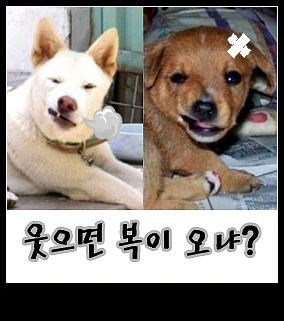 미투포토