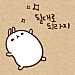 시짱