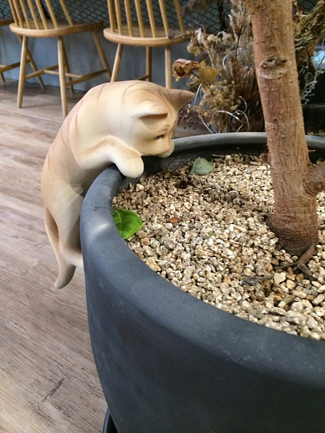 미투포토