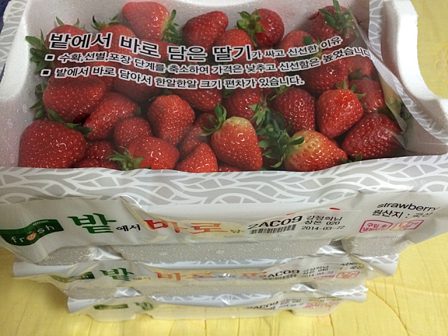 미투포토