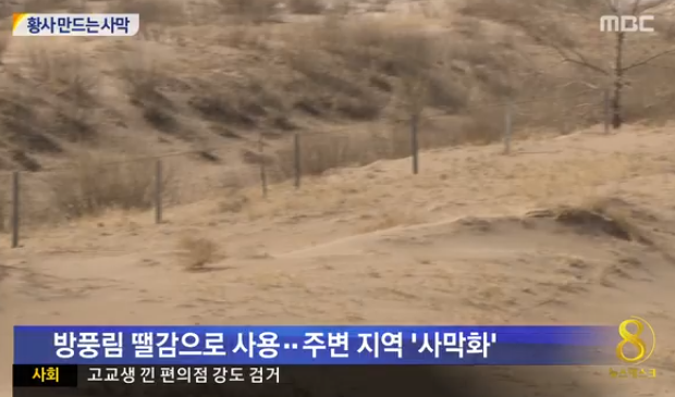 미투포토