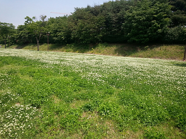 미투포토