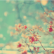…ஐ아리포터ஐ…