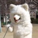 개