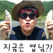 엽